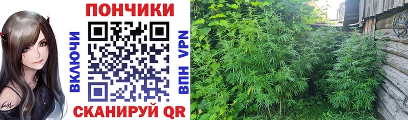 Купить Бошки Шишки  Мефедрон  ГЕРОИН  Гашиш  Изобильный
