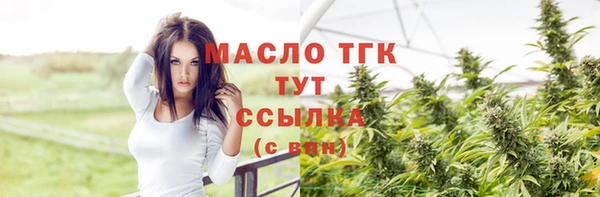 мдпв Каменка