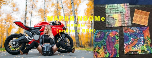хмурый Каменногорск