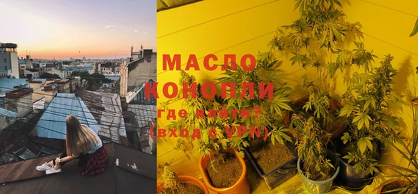 хмурый Каменногорск