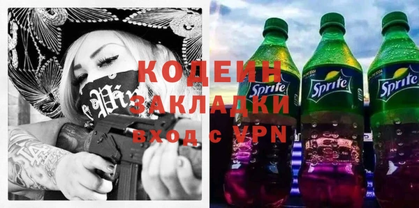 мдпв Каменка