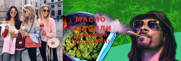 мдпв Каменка