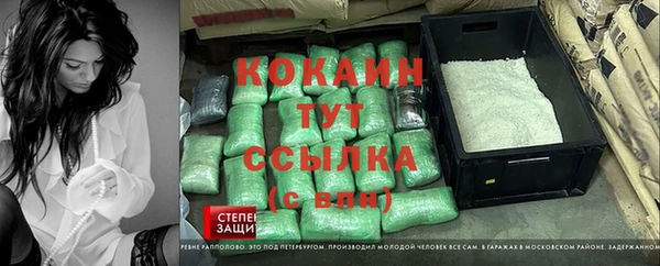 мдпв Каменка