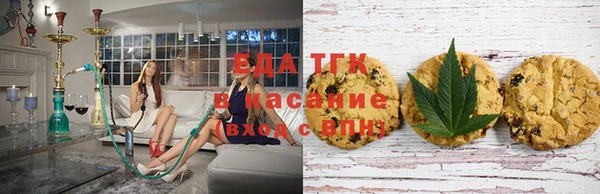 сатива Инта