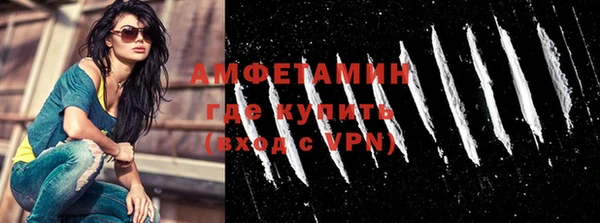 мдпв Каменка