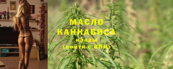 мдпв Каменка