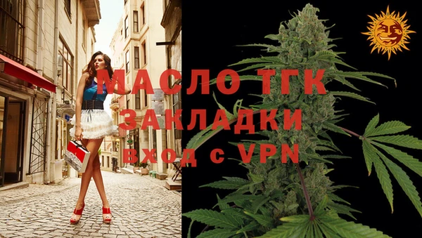 мдпв Каменка