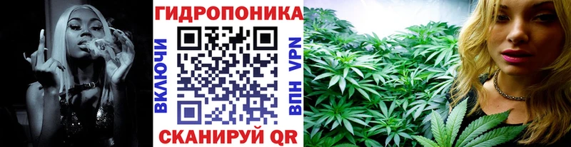 Купить  Изобильный  Каннабис MAZAR 